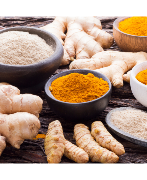PRL Organic Premier Fermented Turmeric/Ginger