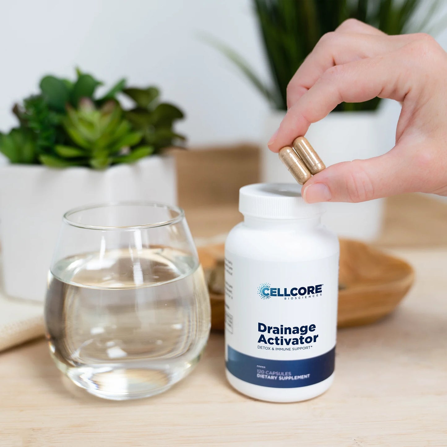 Drainage Activator by Cellcore