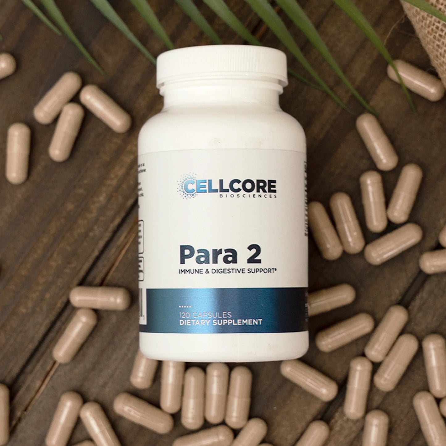 Para2 by Cellcore