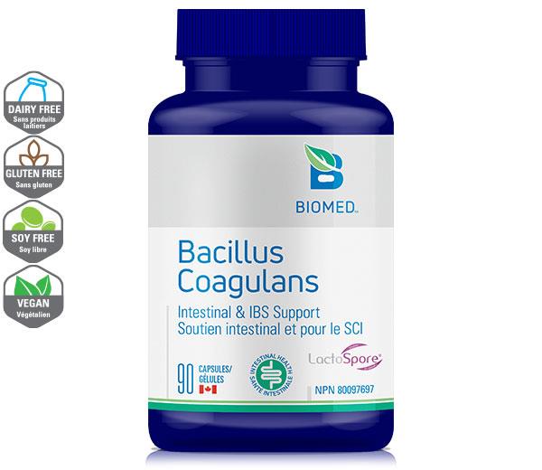 Bacillus Coagulans 90 capsules