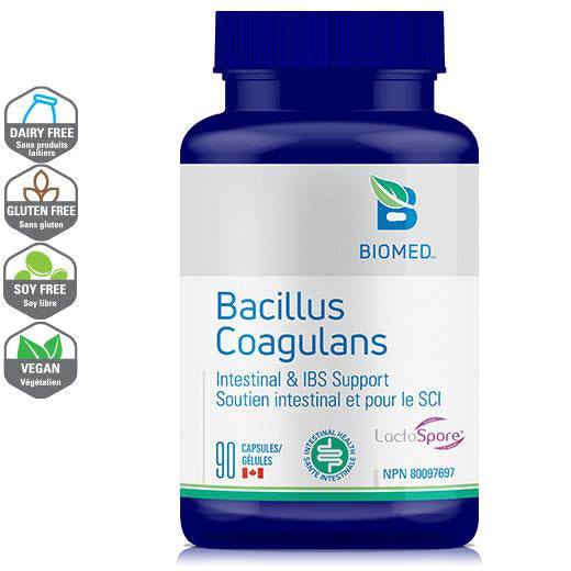 Bacillus Coagulans 90 capsules
