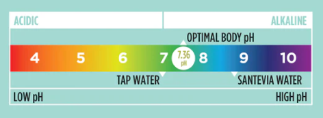 Santevia Water pH Test Kit
